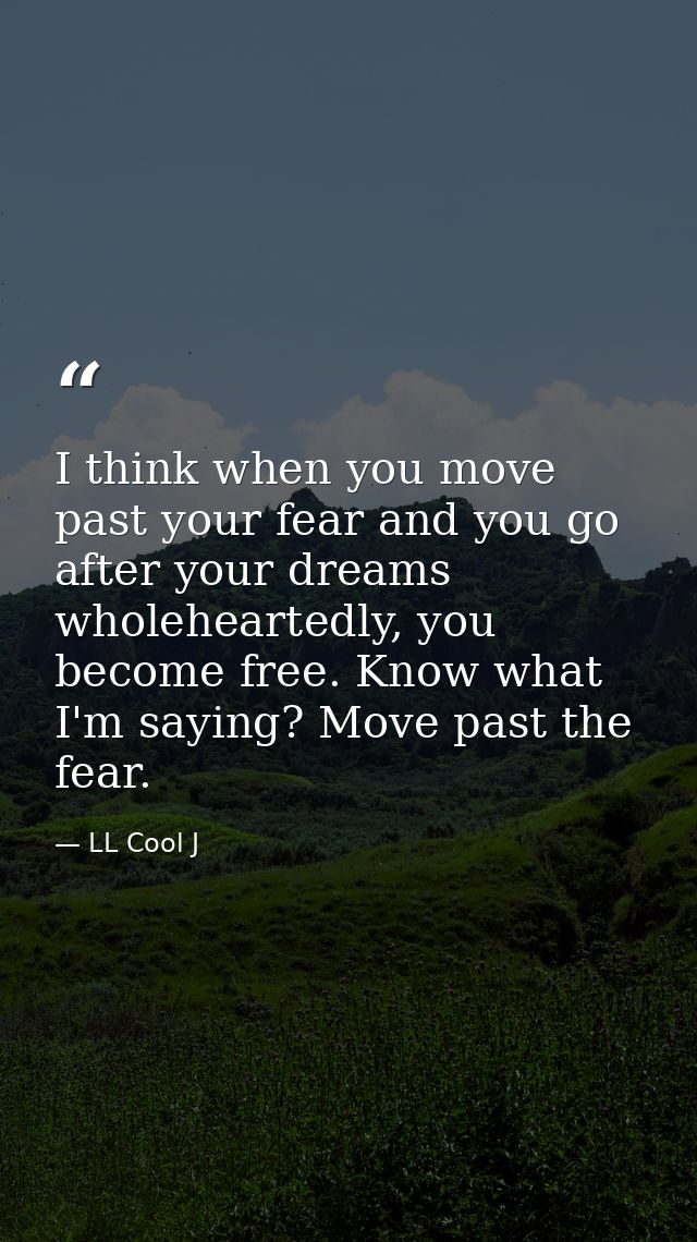 I think when you move past your fear and you go after your dreams wholeheartedly, you become free. Know what I'm saying? — LL Cool J