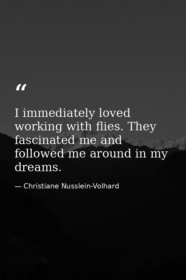 I immediately loved working with flies. They fascinated me and followed me around in my dreams. — Christiane Nusslein-Volhard