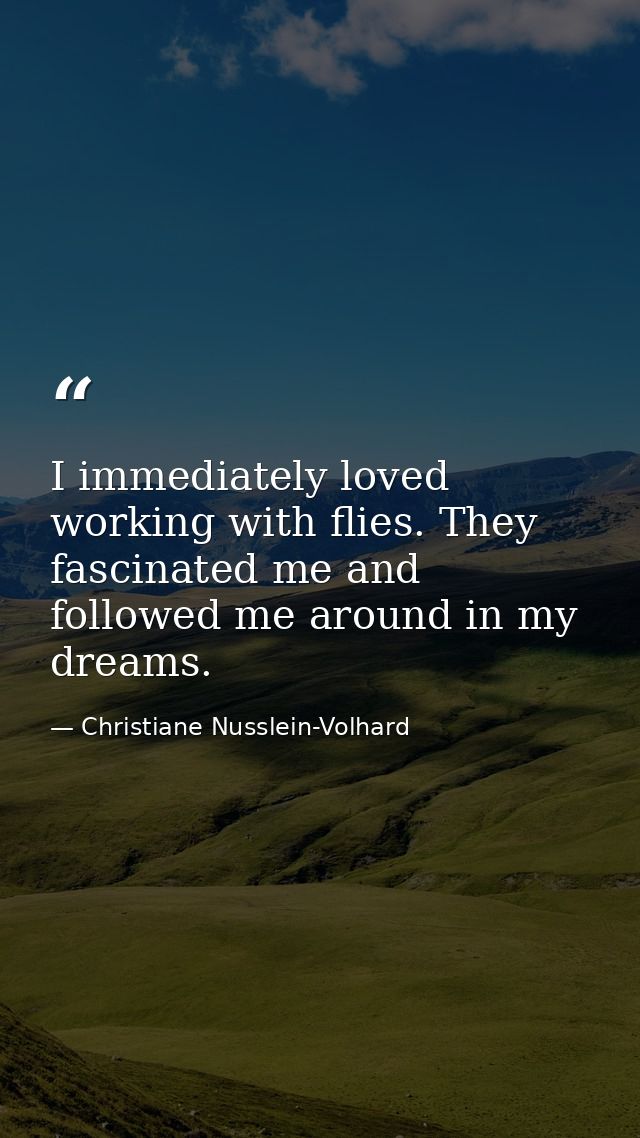 I immediately loved working with flies. They fascinated me and followed me around in my dreams. — Christiane Nusslein-Volhard