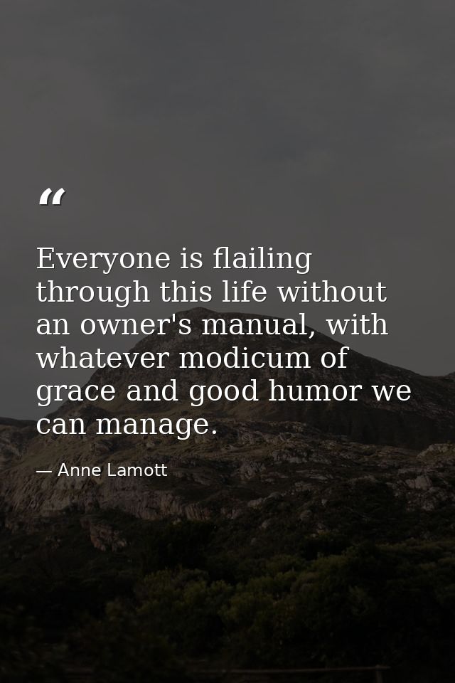 Everyone is flailing through this life without an owner's manual, with whatever modicum of grace and good humor we can m — Anne Lamott