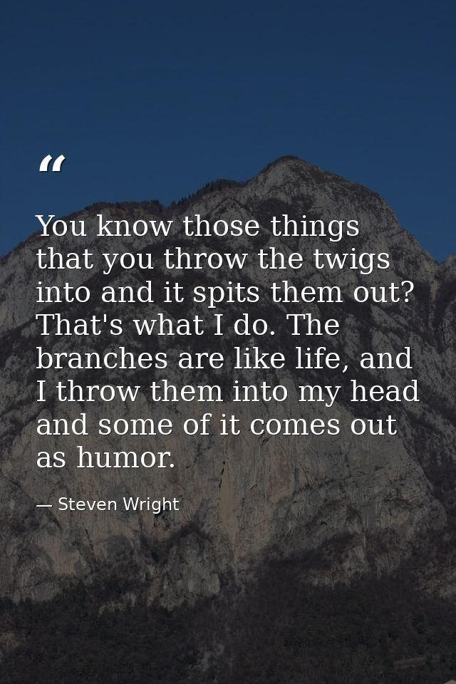 You know those things that you throw the twigs into and it spits them out? That's what I do. The branches are like life, — Steven Wright