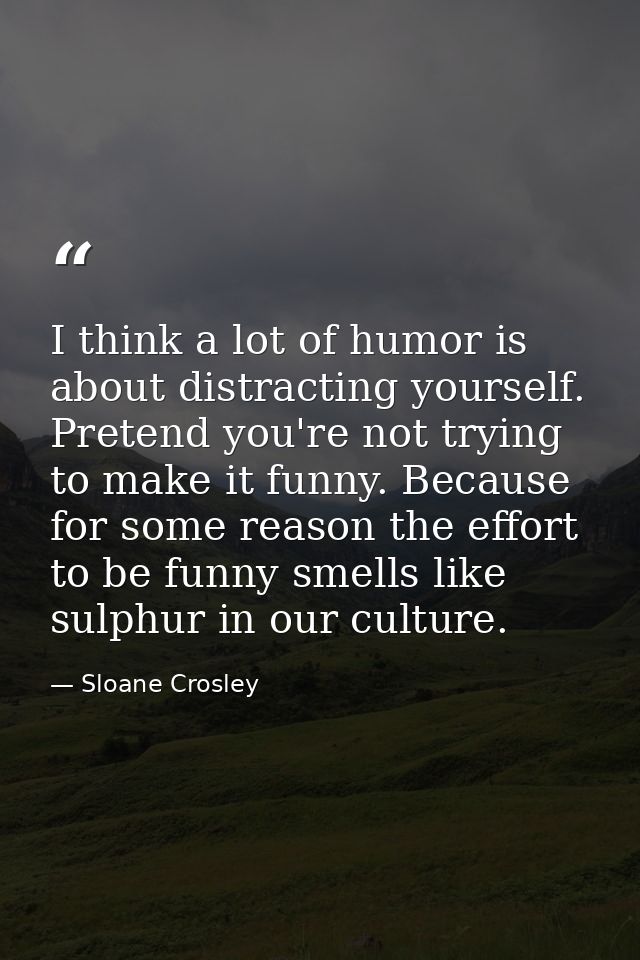 I think a lot of humor is about distracting yourself. Pretend you're not trying to make it funny. Because for some reaso — Sloane Crosley