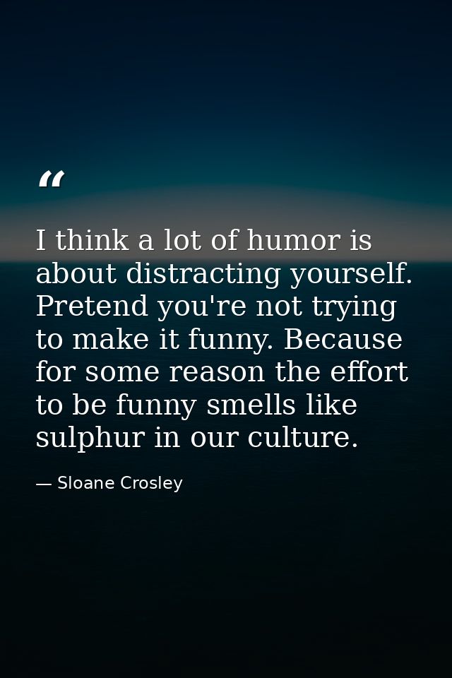 I think a lot of humor is about distracting yourself. Pretend you're not trying to make it funny. Because for some reaso — Sloane Crosley