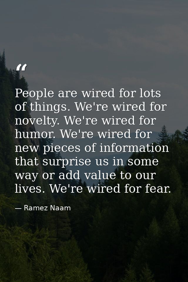 People are wired for lots of things. We're wired for novelty. We're wired for humor. We're wired for new pieces of infor — Ramez Naam