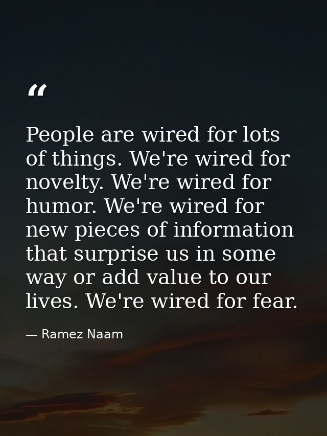 People are wired for lots of things. We're wired for novelty. We're wired for humor. We're wired for new pieces of infor — Ramez Naam