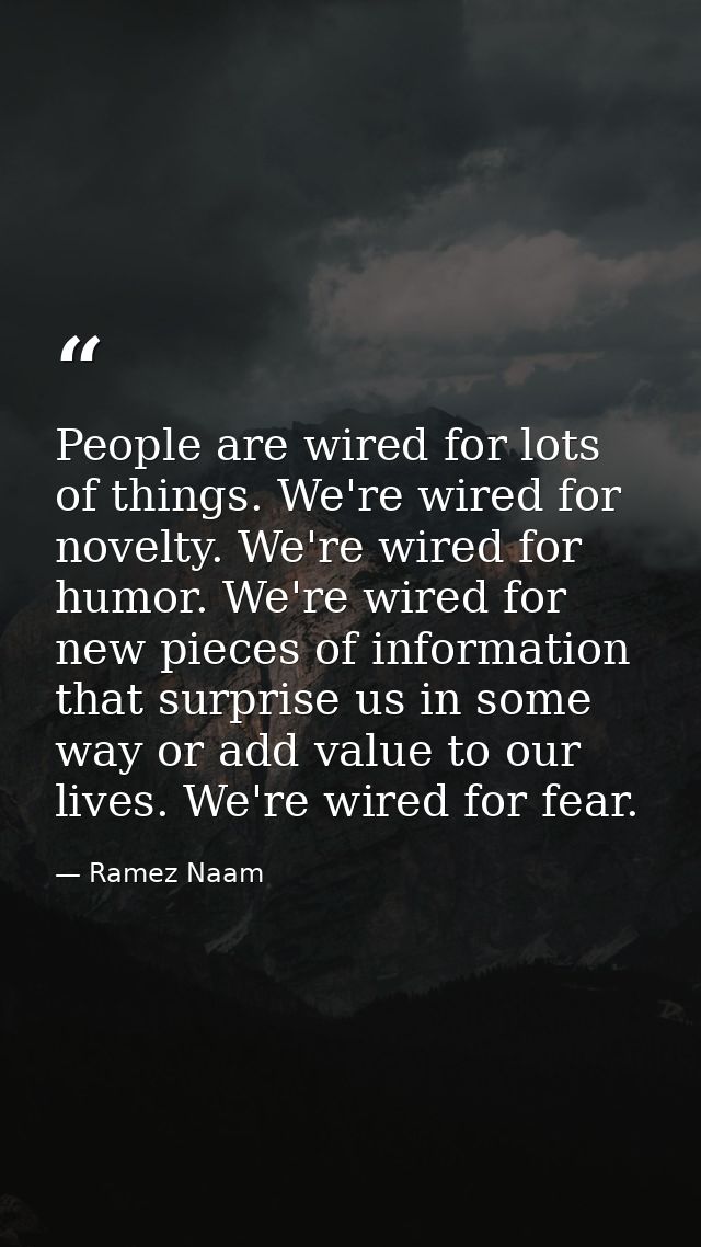 People are wired for lots of things. We're wired for novelty. We're wired for humor. We're wired for new pieces of infor — Ramez Naam