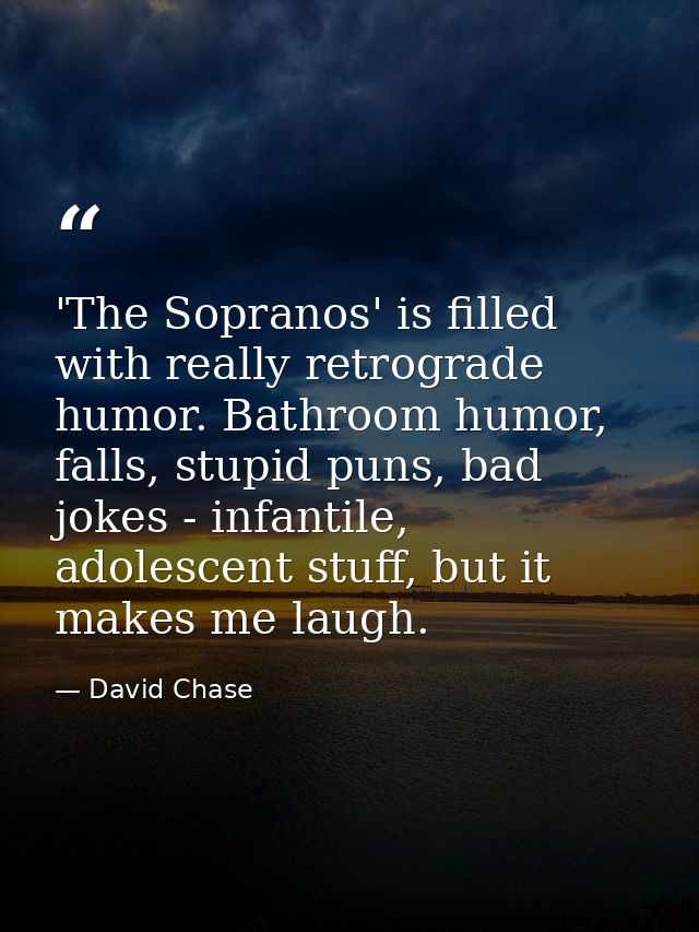 'The Sopranos' is filled with really retrograde humor. Bathroom humor, falls, stupid puns, bad jokes - infantile, adoles — David Chase
