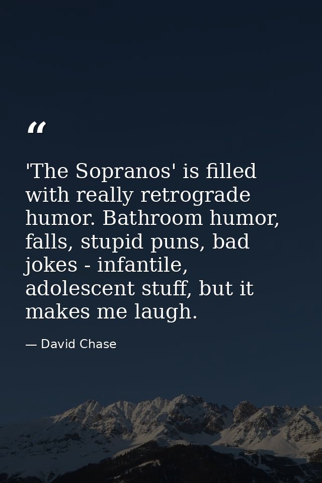 'The Sopranos' is filled with really retrograde humor. Bathroom humor, falls, stupid puns, bad jokes - infantile, adoles — David Chase