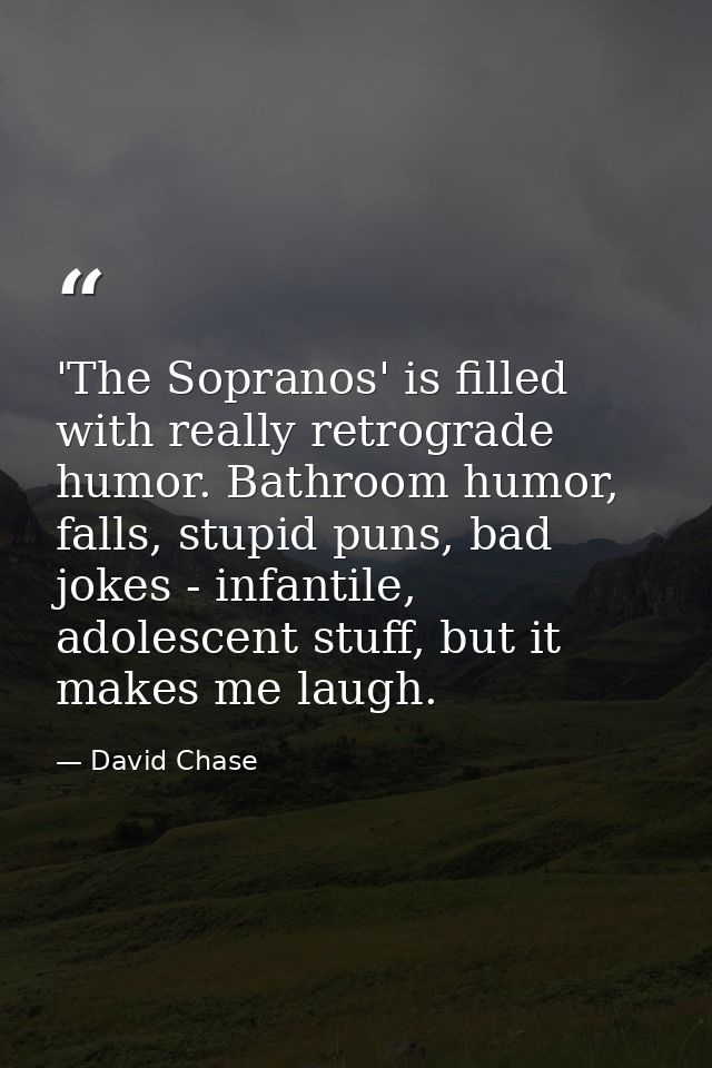 'The Sopranos' is filled with really retrograde humor. Bathroom humor, falls, stupid puns, bad jokes - infantile, adoles — David Chase