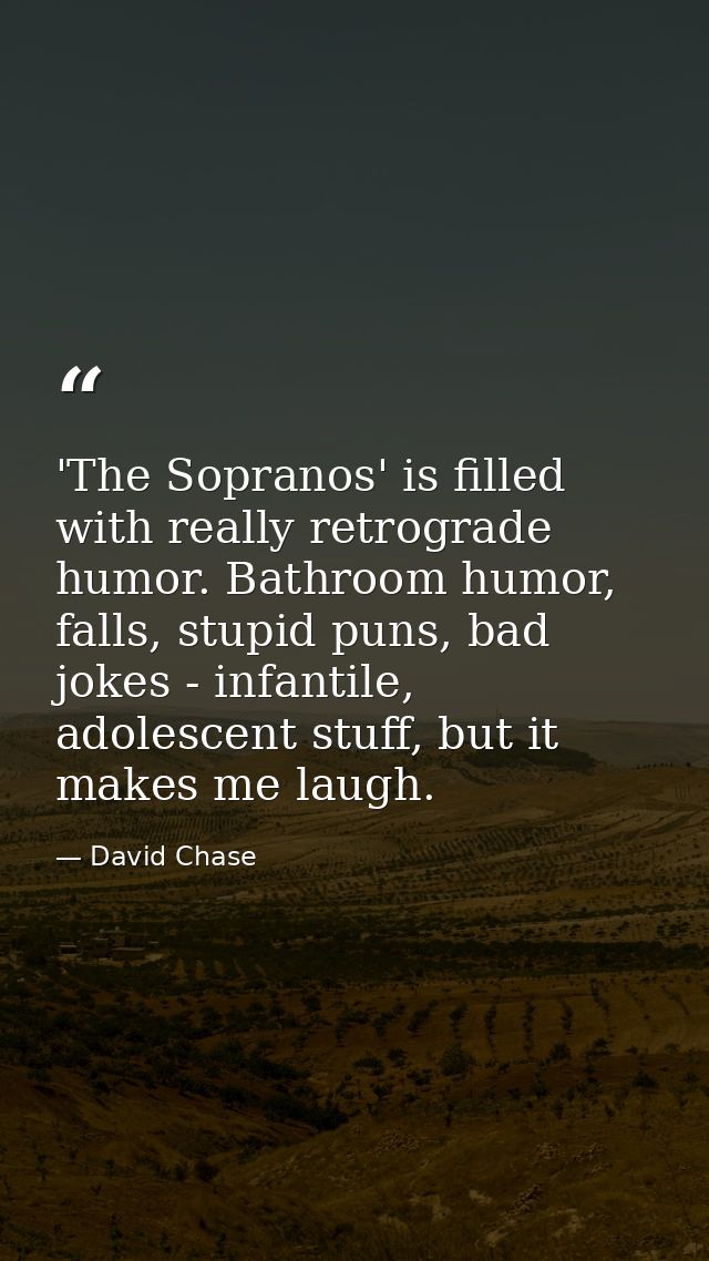 'The Sopranos' is filled with really retrograde humor. Bathroom humor, falls, stupid puns, bad jokes - infantile, adoles — David Chase