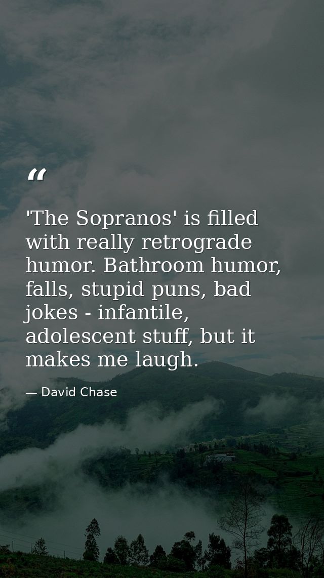 'The Sopranos' is filled with really retrograde humor. Bathroom humor, falls, stupid puns, bad jokes - infantile, adoles — David Chase