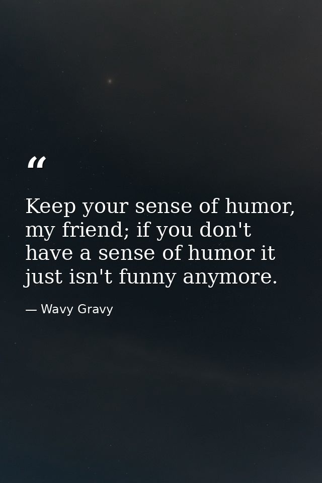 Keep your sense of humor, my friend; if you don't have a sense of humor it just isn't funny anymore. — Wavy Gravy