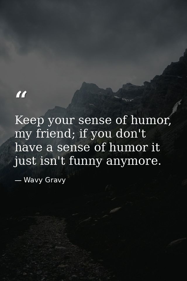 Keep your sense of humor, my friend; if you don't have a sense of humor it just isn't funny anymore. — Wavy Gravy