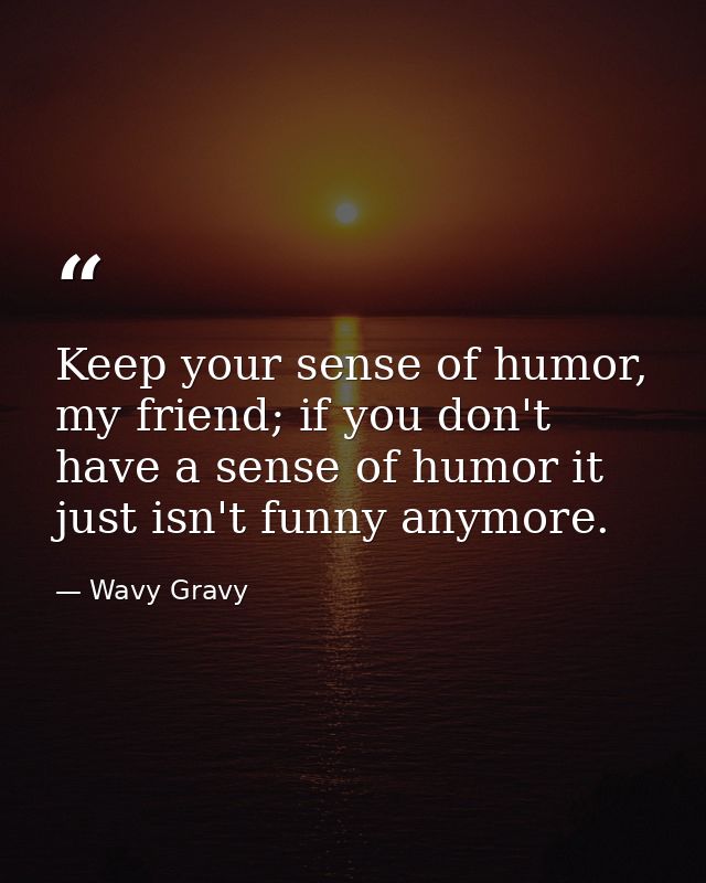 Keep your sense of humor, my friend; if you don't have a sense of humor it just isn't funny anymore. — Wavy Gravy
