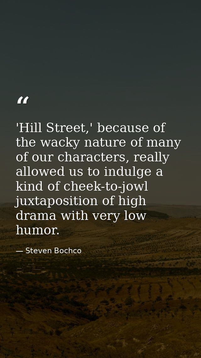 'Hill Street,' because of the wacky nature of many of our characters, really allowed us to indulge a kind of cheek-to-jo — Steven Bochco