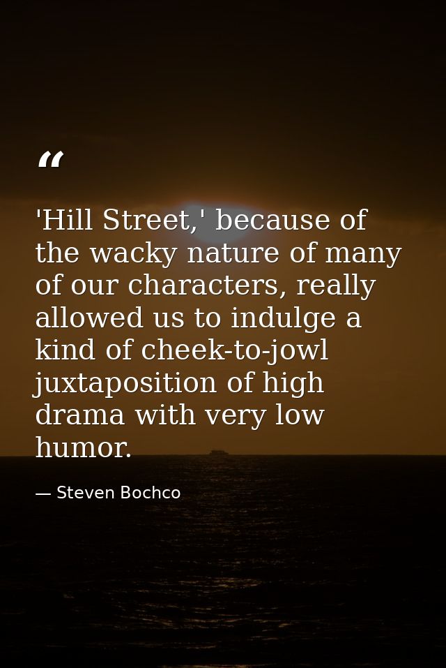 'Hill Street,' because of the wacky nature of many of our characters, really allowed us to indulge a kind of cheek-to-jo — Steven Bochco