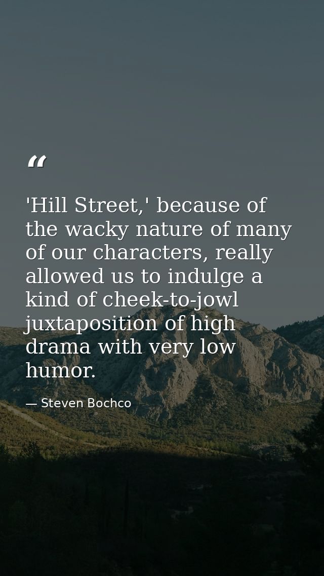 'Hill Street,' because of the wacky nature of many of our characters, really allowed us to indulge a kind of cheek-to-jo — Steven Bochco