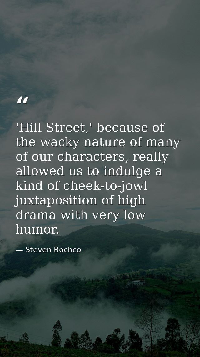 'Hill Street,' because of the wacky nature of many of our characters, really allowed us to indulge a kind of cheek-to-jo — Steven Bochco