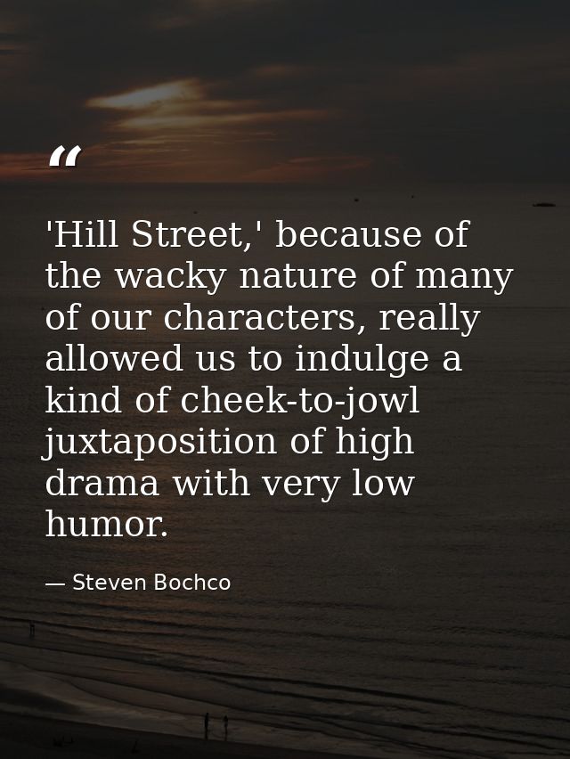 'Hill Street,' because of the wacky nature of many of our characters, really allowed us to indulge a kind of cheek-to-jo — Steven Bochco