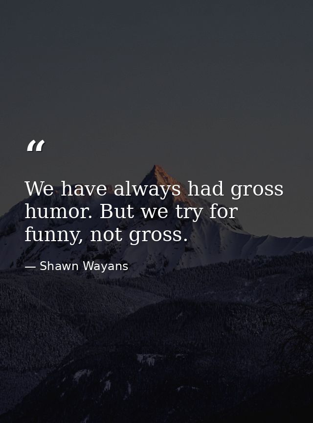 We have always had gross humor. But we try for funny, not gross. — Shawn Wayans