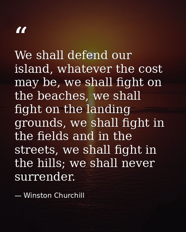 We shall defend our island, whatever the cost may be, we shall fight on the beaches, we shall fight on the landing groun — Winston Churchill