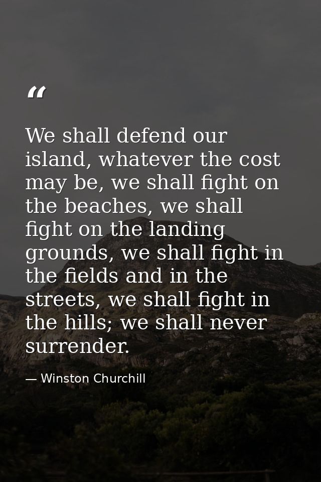 We shall defend our island, whatever the cost may be, we shall fight on the beaches, we shall fight on the landing groun — Winston Churchill