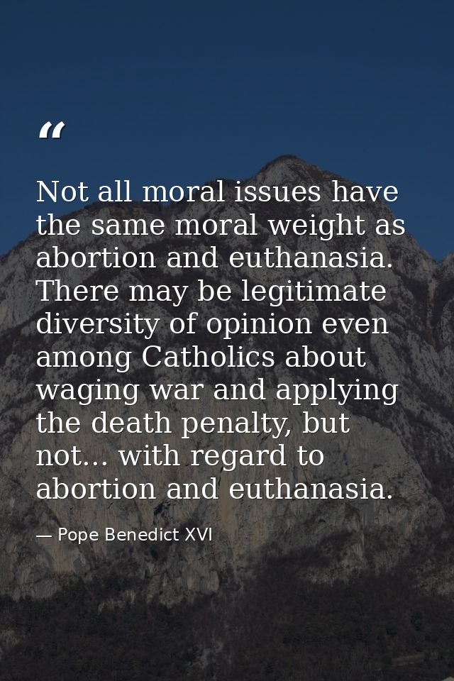 Not all moral issues have the same moral weight as abortion and euthanasia. There may be legitimate diversity of opinion — Pope Benedict XVI