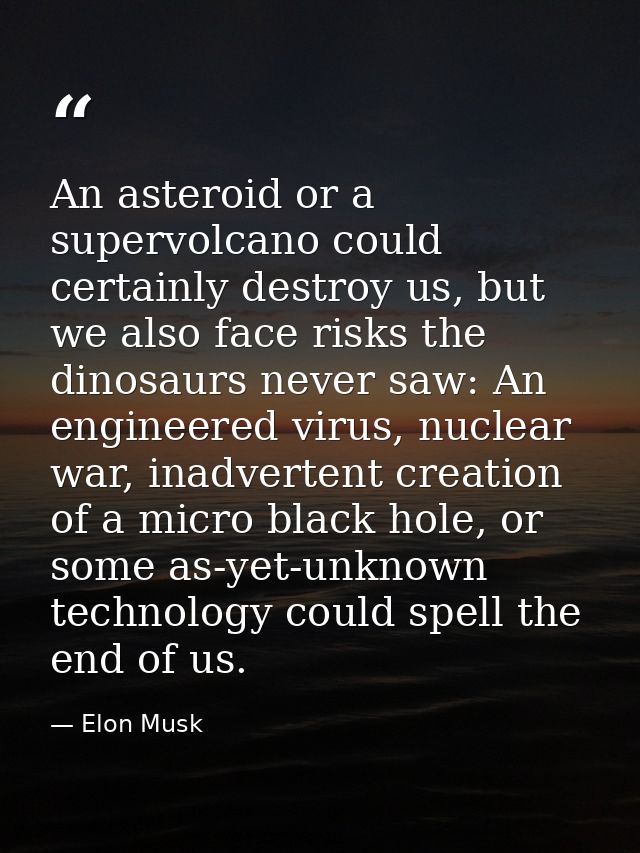 An asteroid or a supervolcano could certainly destroy us, but we also face risks the dinosaurs never saw: An engineered  — Elon Musk