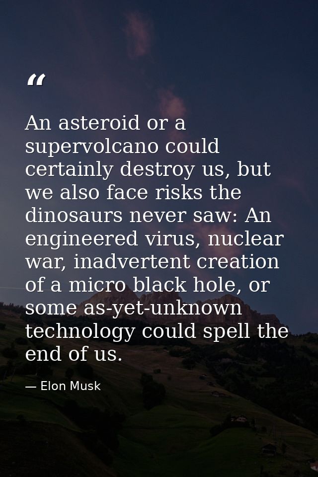 An asteroid or a supervolcano could certainly destroy us, but we also face risks the dinosaurs never saw: An engineered  — Elon Musk