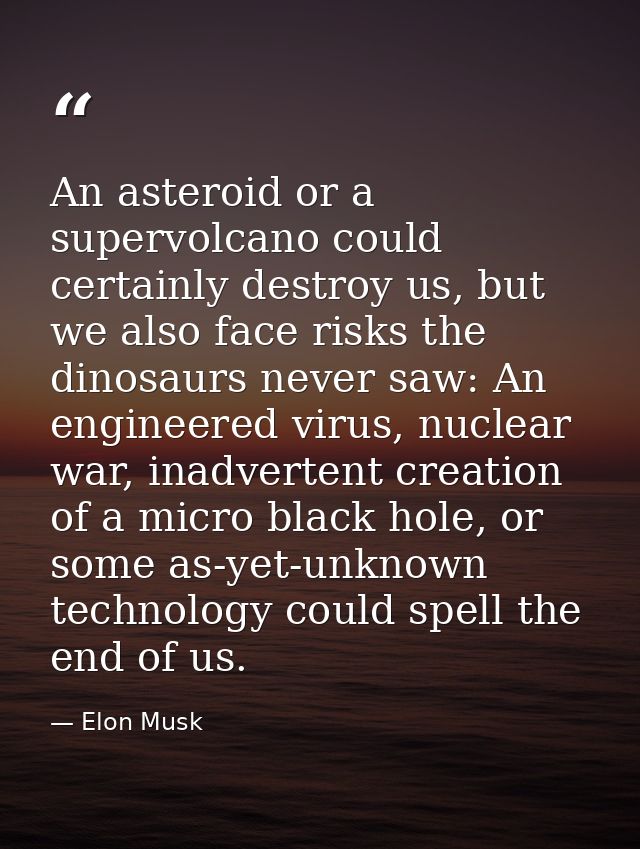 An asteroid or a supervolcano could certainly destroy us, but we also face risks the dinosaurs never saw: An engineered  — Elon Musk
