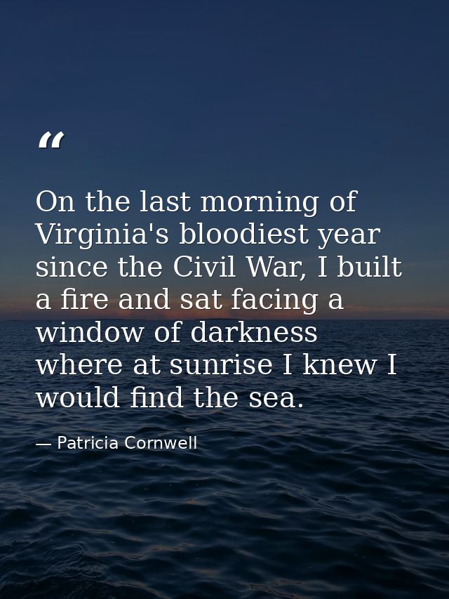 On the last morning of Virginia's bloodiest year since the Civil War, I built a fire and sat facing a window of darkness — Patricia Cornwell