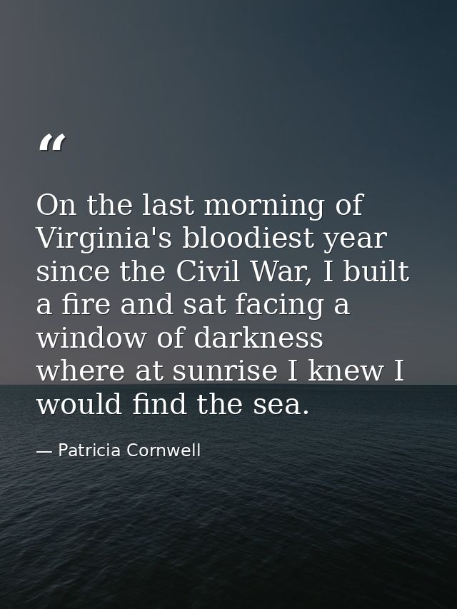 On the last morning of Virginia's bloodiest year since the Civil War, I built a fire and sat facing a window of darkness — Patricia Cornwell