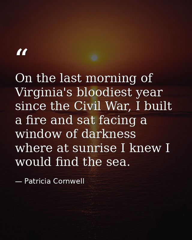 On the last morning of Virginia's bloodiest year since the Civil War, I built a fire and sat facing a window of darkness — Patricia Cornwell