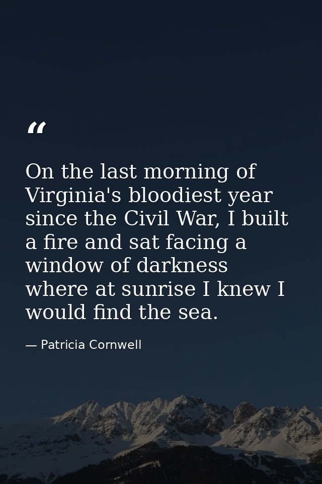 On the last morning of Virginia's bloodiest year since the Civil War, I built a fire and sat facing a window of darkness — Patricia Cornwell