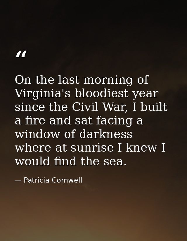On the last morning of Virginia's bloodiest year since the Civil War, I built a fire and sat facing a window of darkness — Patricia Cornwell