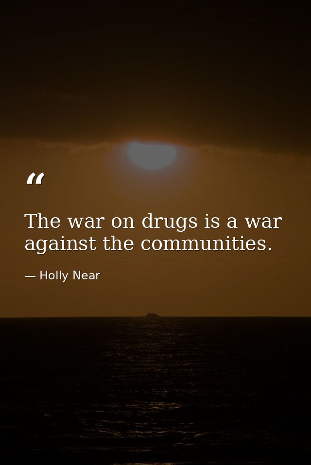 The war on drugs is a war against the communities. — Holly Near