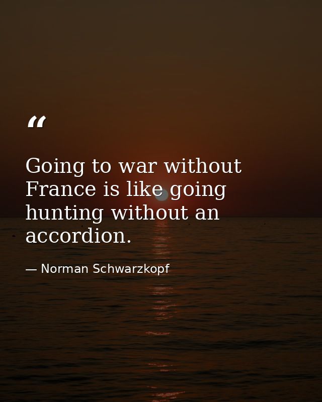 Going to war without France is like going hunting without an accordion. — Norman Schwarzkopf