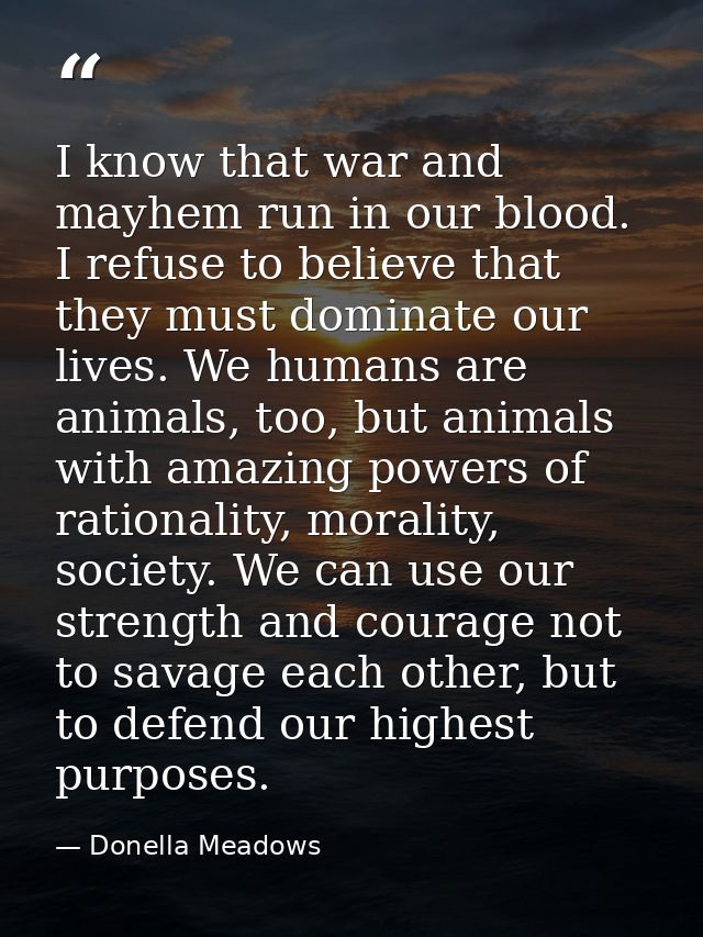I know that war and mayhem run in our blood. I refuse to believe that they must dominate our lives. We humans are animal — Donella Meadows