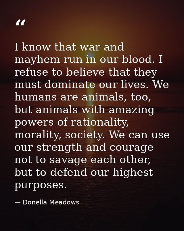 I know that war and mayhem run in our blood. I refuse to believe that they must dominate our lives. We humans are animal — Donella Meadows