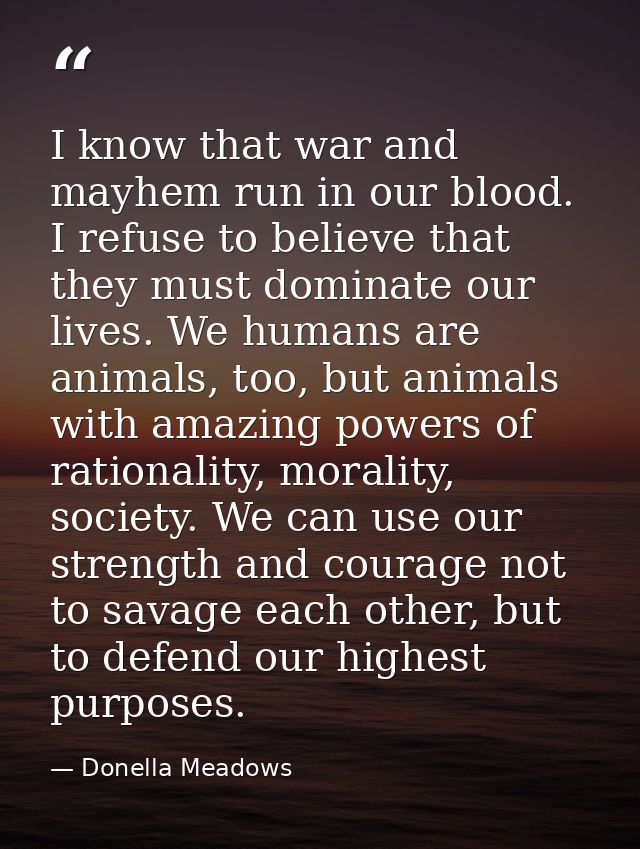 I know that war and mayhem run in our blood. I refuse to believe that they must dominate our lives. We humans are animal — Donella Meadows
