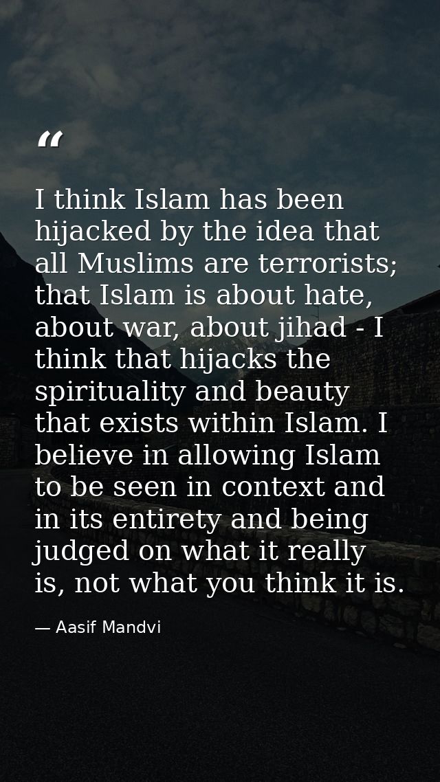 I think Islam has been hijacked by the idea that all Muslims are terrorists; that Islam is about hate, about war, about  — Aasif Mandvi