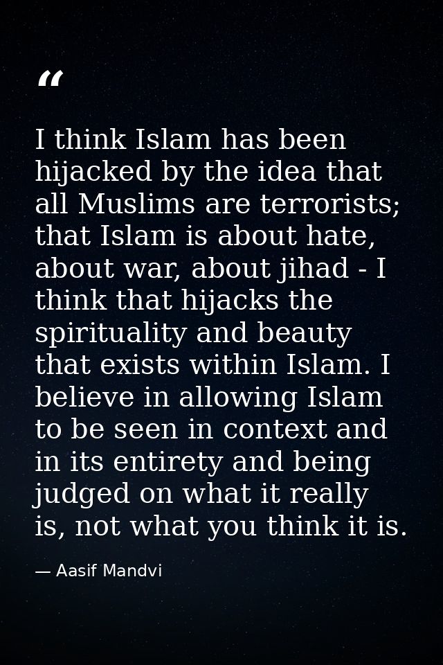 I think Islam has been hijacked by the idea that all Muslims are terrorists; that Islam is about hate, about war, about  — Aasif Mandvi