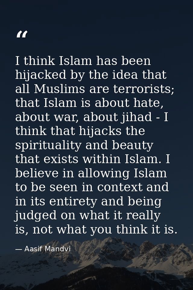 I think Islam has been hijacked by the idea that all Muslims are terrorists; that Islam is about hate, about war, about  — Aasif Mandvi