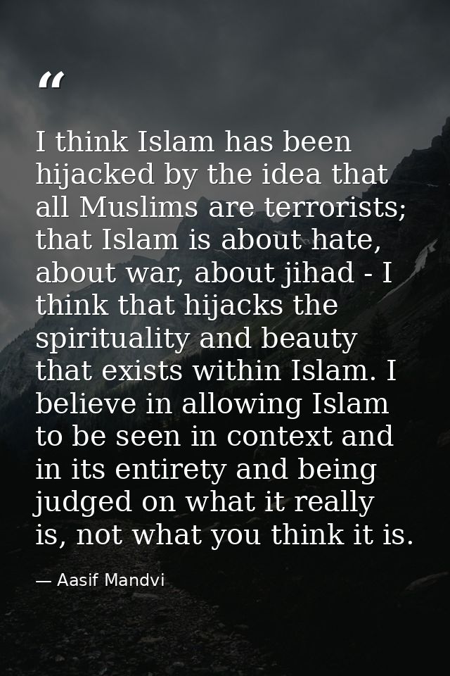 I think Islam has been hijacked by the idea that all Muslims are terrorists; that Islam is about hate, about war, about  — Aasif Mandvi