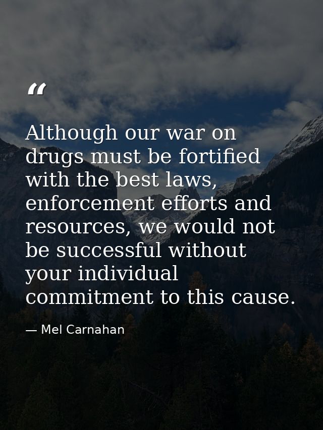 Although our war on drugs must be fortified with the best laws, enforcement efforts and resources, we would not be succe — Mel Carnahan