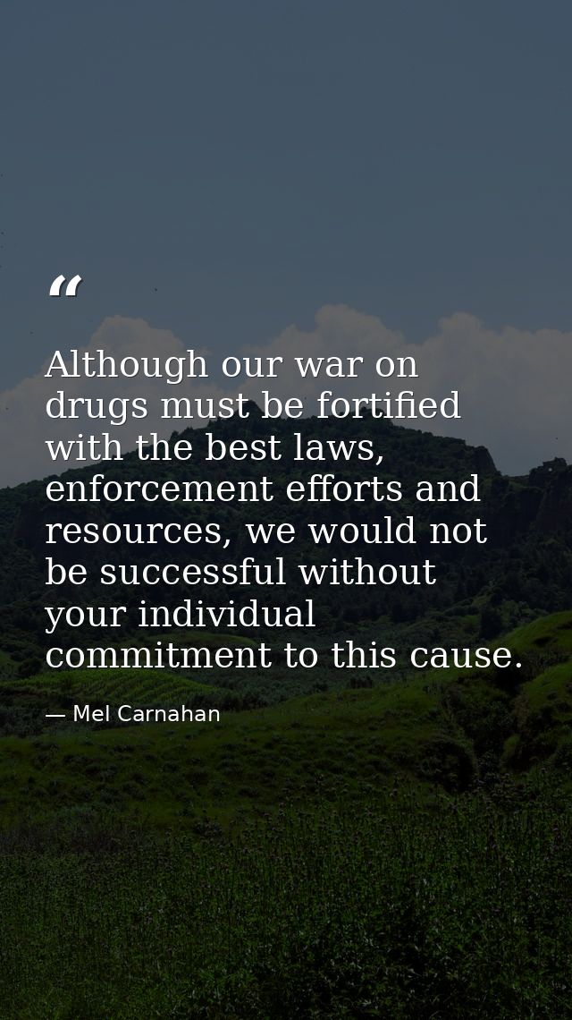Although our war on drugs must be fortified with the best laws, enforcement efforts and resources, we would not be succe — Mel Carnahan