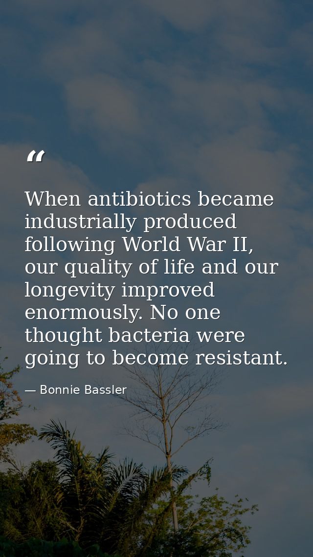 When antibiotics became industrially produced following World War II, our quality of life and our longevity improved eno — Bonnie Bassler