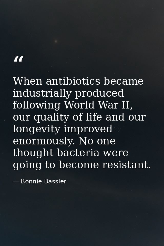 When antibiotics became industrially produced following World War II, our quality of life and our longevity improved eno — Bonnie Bassler