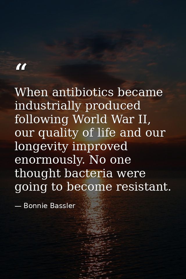 When antibiotics became industrially produced following World War II, our quality of life and our longevity improved eno — Bonnie Bassler