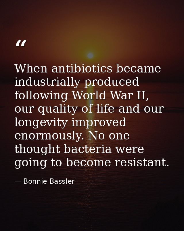 When antibiotics became industrially produced following World War II, our quality of life and our longevity improved eno — Bonnie Bassler